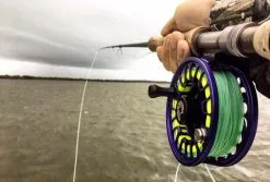 Cortland Liquid Crystal Guide Tropic Salt Floating Fly Line -Cortland Winkel Cortland Liquid Crystal Guide Tropic Salt Fly Line D340030 XX guidetaper3 959x