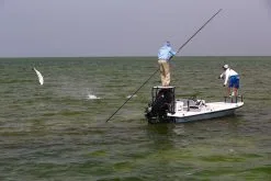 Cortland Liquid Crystal Guide Tropic Salt Floating Fly Line -Cortland Winkel Cortland Liquid Crystal Guide Tropic Salt Fly Line D340030 XX inter3 92936b4c 78bc 4e91 8912 910d7d939c72 1200x