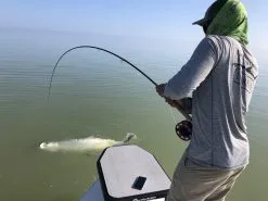 Cortland Liquid Crystal Tarpon Taper Fly Line -Cortland Winkel Cortland Liquid Crystal Tarpon Taper Fly Line D34003 XX liquidcrystal 1200x