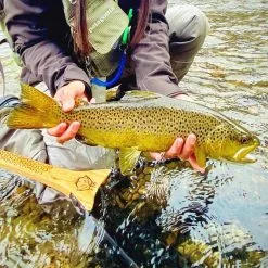 Hex Fly Co Reach Net -Cortland Winkel Hex Fly Co Reach Net NFD9207 REACH image