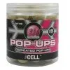 MAINLINE Dedicated Pop-Ups CELL 15mm 2 MAINLINE Dedicated Pop-Ups CELL 15mm -Cortland Winkel mainline dedicated pop ups cell 15mm m21009 pop ups