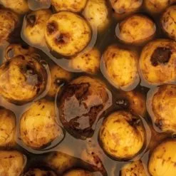 Nash Tackle NASH Sweet Tiger Nuts -Cortland Winkel nash sweet tiger nuts b0102 b0112 particles 2