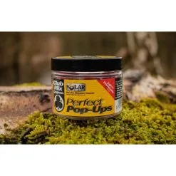 SOLAR Perfect Pop-Ups CLUB MIX