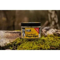 SOLAR Perfect Pop-Ups Pineapple Plus