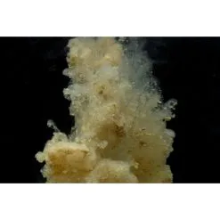 STICKY BAITS Manilla Active Mix -Cortland Winkel sticky baits manilla active mix mam1 mam lokvoer 2