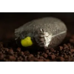 STICKY BAITS Pineapple & N'Butyric Wafters 16mm 7 STICKY BAITS Pineapple & N'Butyric Wafters 16mm -Cortland Winkel sticky baits pineapple nbutyric wafters 16mm pinw hookbaits 1