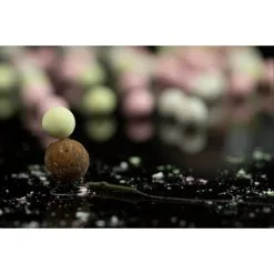 STICKY BAITS Signature Pop-Ups - Mixed -Cortland Winkel sticky baits signature pop ups mixed smp12 smp14 smp16 pop ups 1