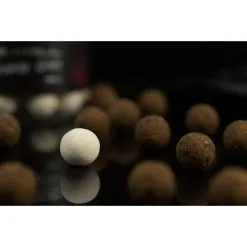 STICKY BAITS The Krill White Ones Wafters 16mm -Cortland Winkel sticky baits the krill white ones wafters 16mm kww16 hookbaits 3